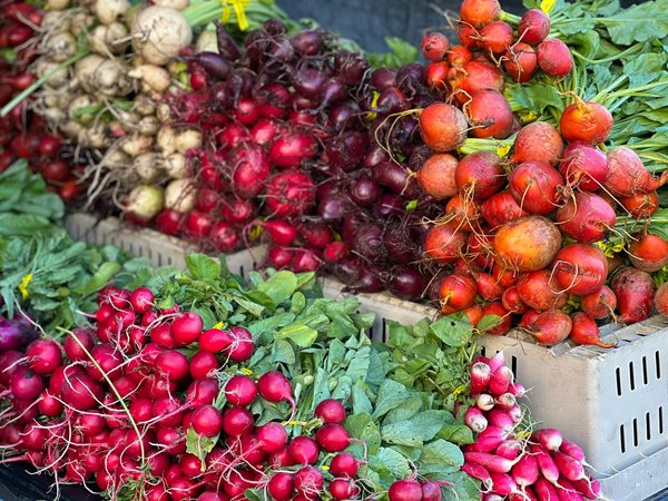 Welke soorten ovens zijn er en hoe kies je de beste voor jouw behoeften?